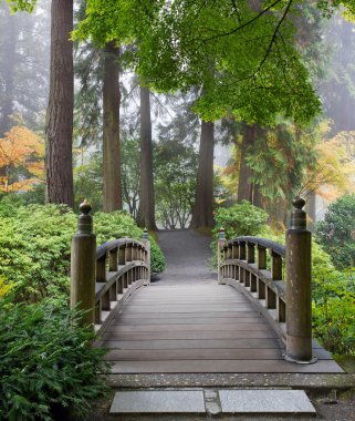Japon bahçe ahşap yaya köprüsü de sisli sabah