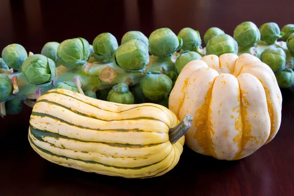 Brussels Sprouts with Sweet Dumpling and Delicata Squash — Stock Photo, Image