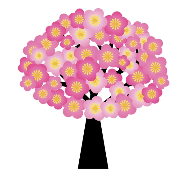 Flores de flor de cerezo de primavera en el árbol en primavera — Foto de Stock