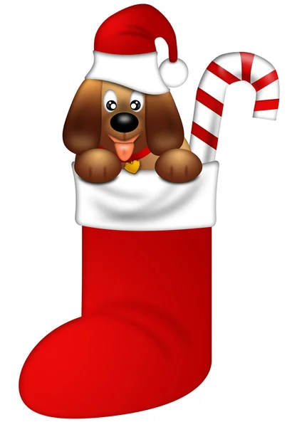 Söt valp hund med röd santa hatt i strumpan — Stockfoto