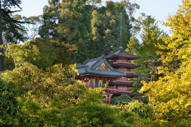Pagodas in San Francisco Japanese Garden clipart