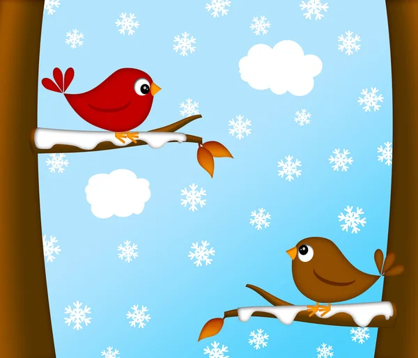 圣诞红主教鸟对冬季现场 — 图库照片