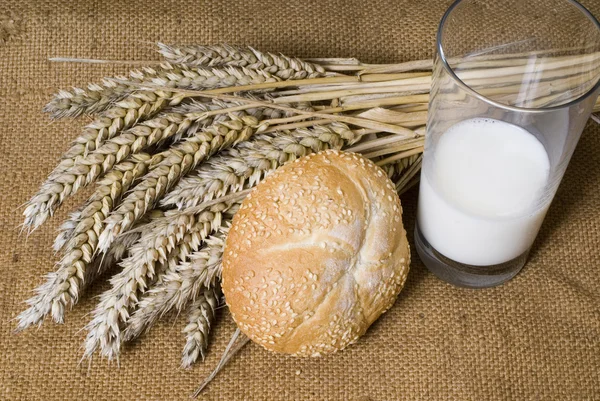 Bread with milk — Stock Photo, Image