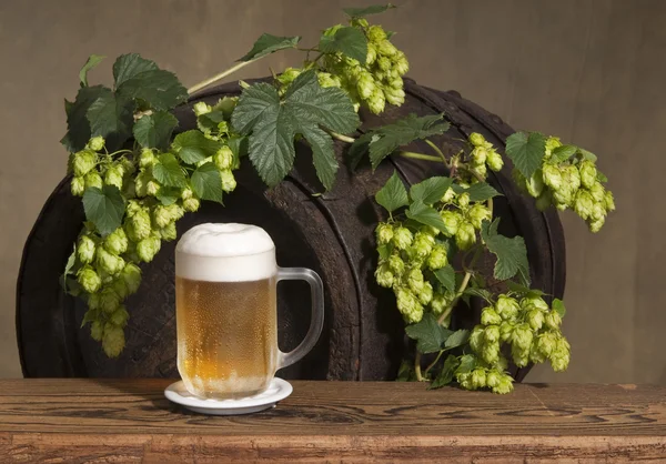 Cerveza y lúpulo — Foto de Stock