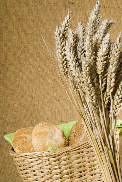 Buns and wheat — Stock Photo, Image
