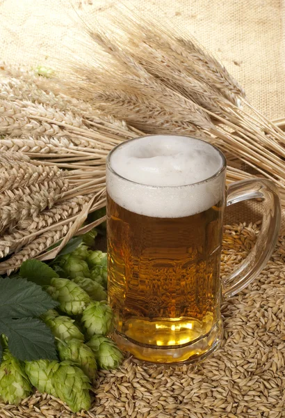 Bicchiere di birra — Foto Stock