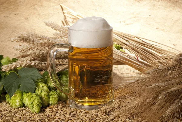 Szklanka piwa — Zdjęcie stockowe