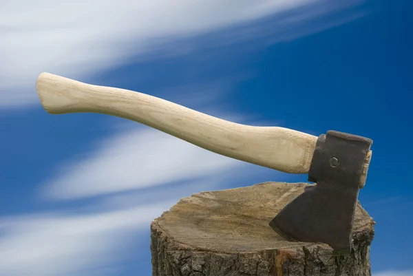 Axe with firewood — Stock Photo, Image