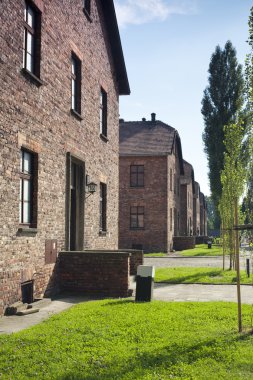 Auschwitz-birkenau toplama kampı