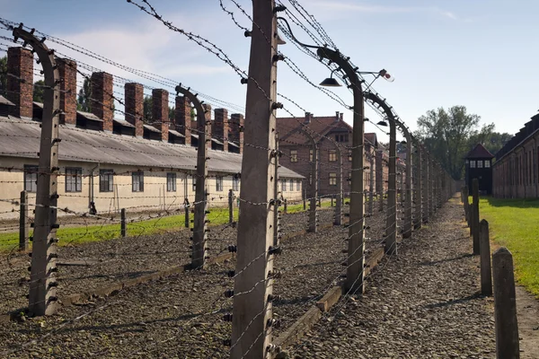 stock image Auschwitz-Birkenau Concentration Camp