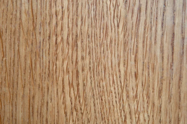 Eiken houten textuur — Stockfoto