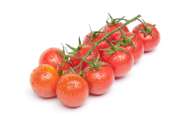 Tomates cherry en la rama con gotas de agua Fotos De Stock Sin Royalties Gratis