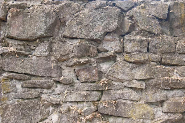 Gamla stenmuren — Stockfoto