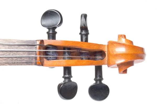 Klassisk fiol — Stockfoto