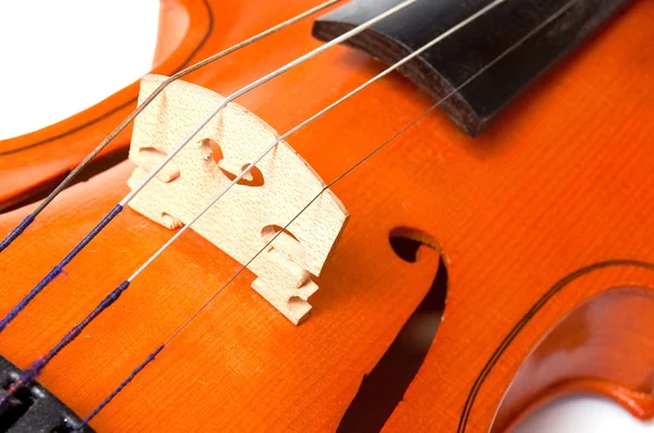 Klassieke viool — Stockfoto