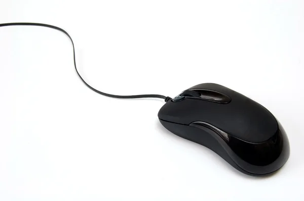 stock image Computer mouse