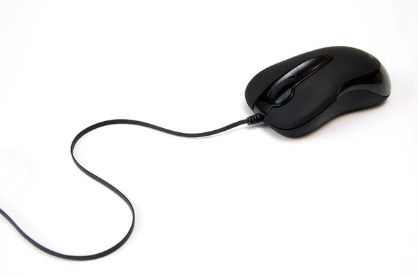 stock image Computer mouse