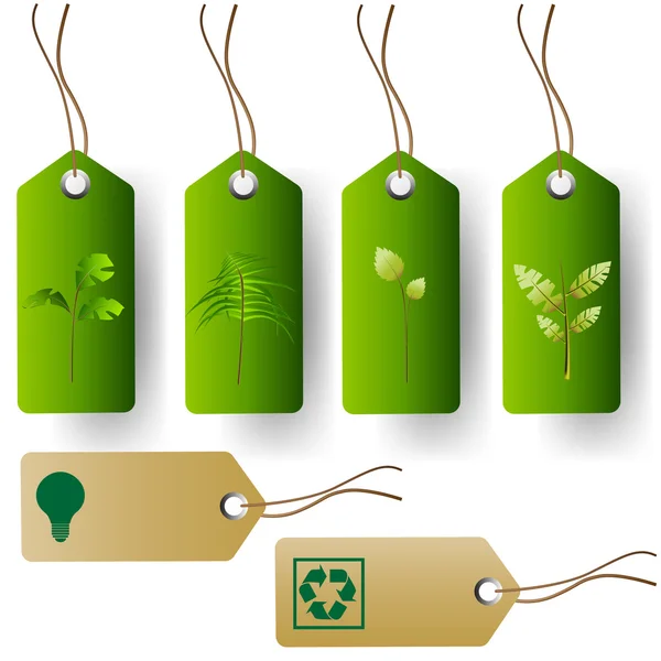 stock vector Green eco product tags