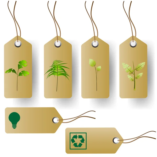 Étiquettes de produits écologiques — Image vectorielle