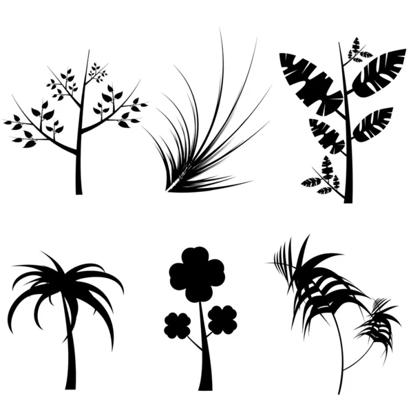 Plants silhouette — Stock Vector
