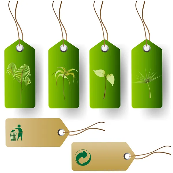 Green eco product tags — Stock Vector