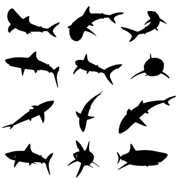 Силуэты акул — стоковый вектор