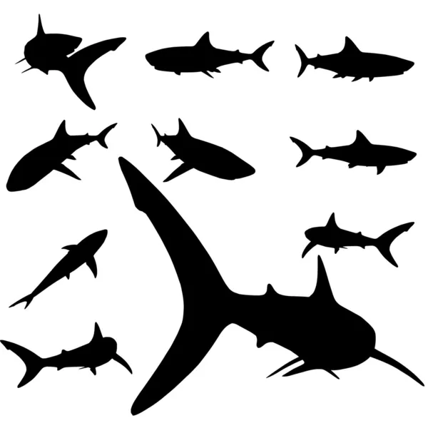 Conjunto de silhuetas de tubarão —  Vetores de Stock