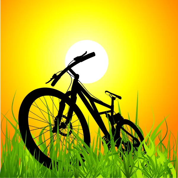 Горный велосипед на закате — стоковый вектор