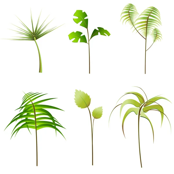 Set di piante — Vettoriale Stock