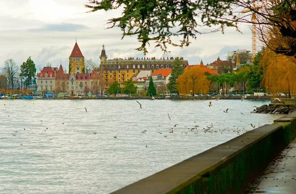 stock image Quay of lac leman in Lausanne. Geneva lake in winter.