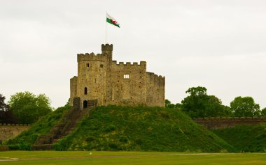 Castle watchtower on the hill clipart