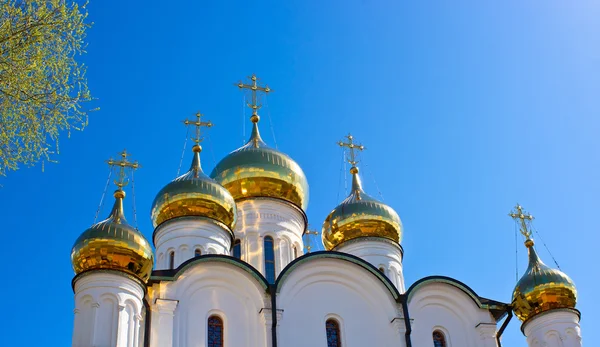 Cupole d'oro ortodosse russe su luce del sole — Foto Stock