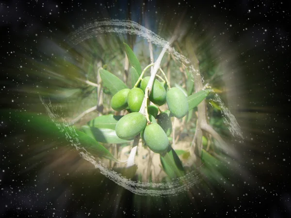 Galaxy zeytin — Stok fotoğraf
