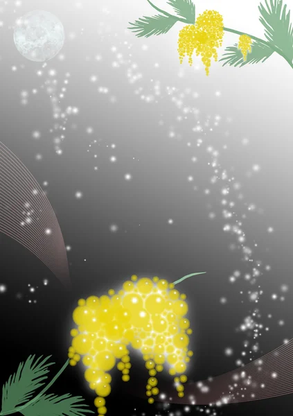 含羞草科 — 图库照片