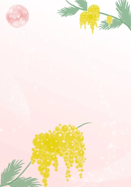 Mimosa takken — Stockfoto