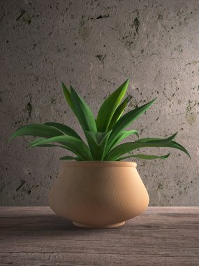 Cactus agava vase clipart