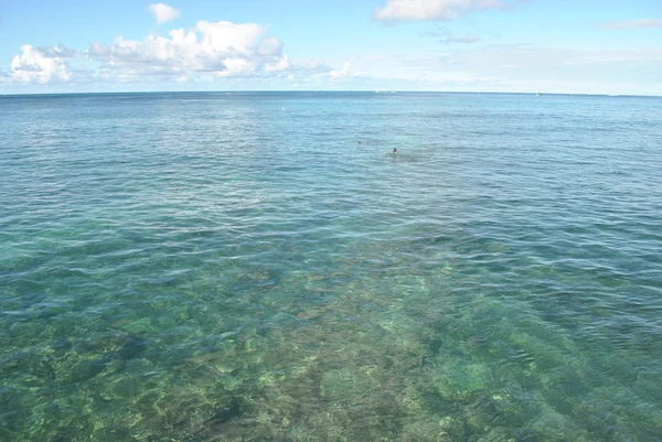 태평양에 있는 산호 — 스톡 사진