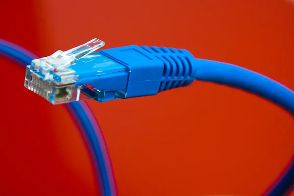 Close up van de ethernet-kabel — Stockfoto