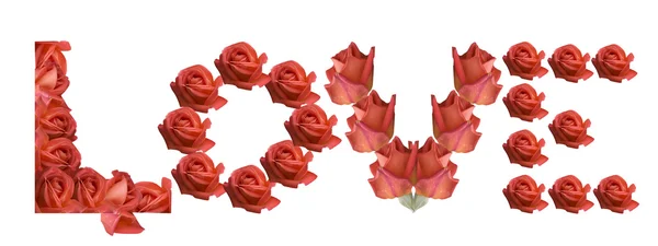 AMOR signo rosa flores para San Valentín, día de la madre, cumpleaños a — Foto de Stock