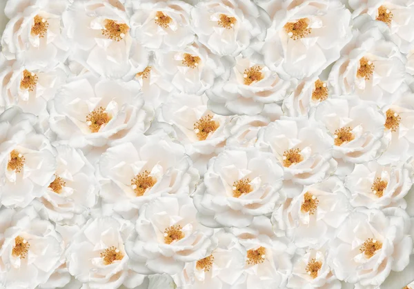 Neutrale bloemen bloemen wallpaper achtergrond — Stockfoto