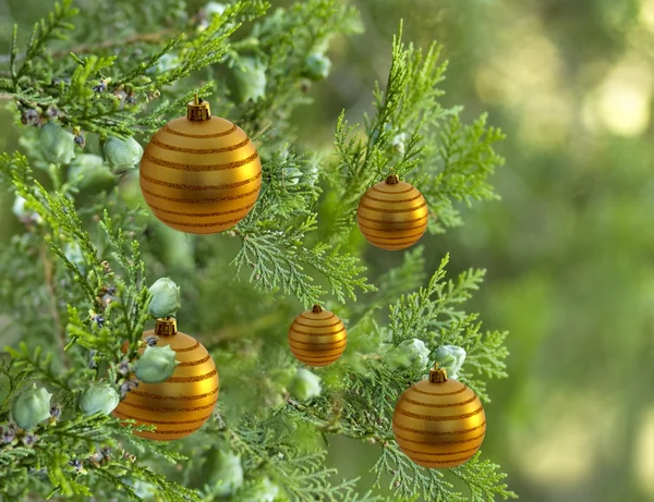 골드 값싼 물건 볼 장식으로 장식 된 크리스마스 트리 소나무 — 스톡 사진
