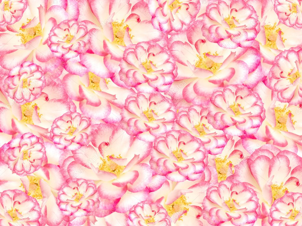 無料印刷可能花 テクスチャ フリー 最高の花の画像