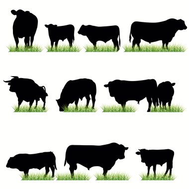 11 Bulls Silhouettes Set clipart