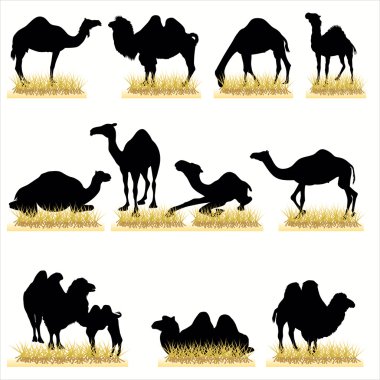 12 deve siluetleri ayarla