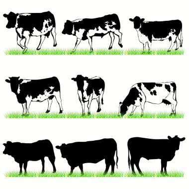 Cows and Bulls Silhouettes Set clipart