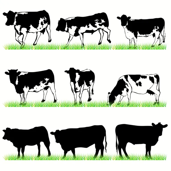 Conjunto de silhuetas de vacas e touros — Vetor de Stock