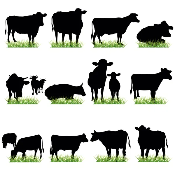 Koeien en stieren silhouetten set — Stockvector