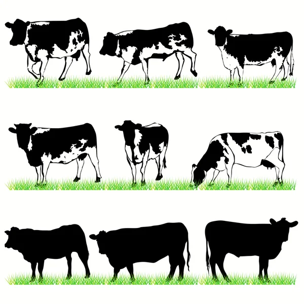 Conjunto de Siluetas de Vacas y Toros Ilustraciones de stock libres de derechos