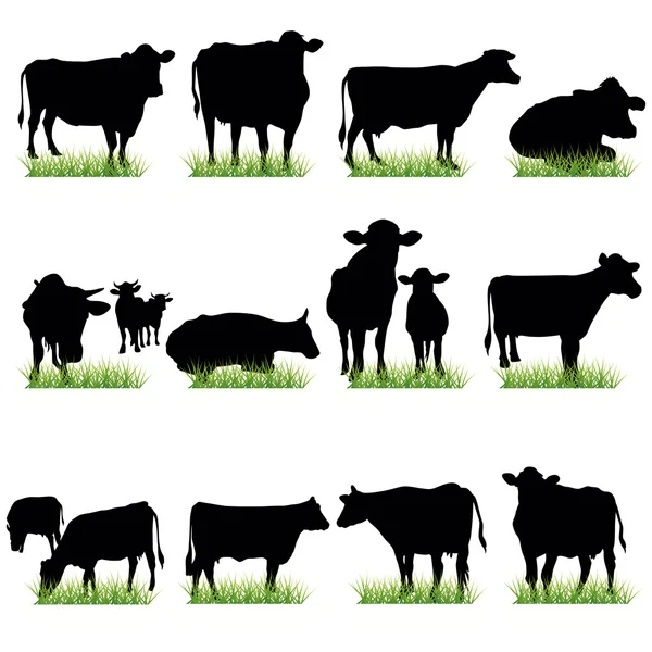 Conjunto de Siluetas de Vacas Vectores de stock libres de derechos