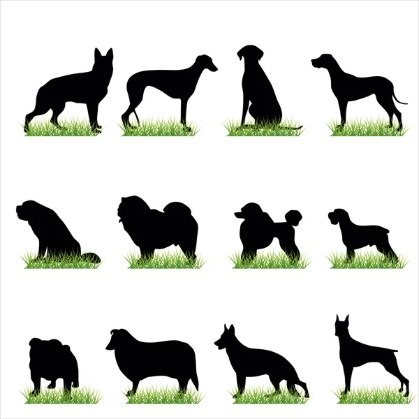 Hundar silhuetter set — Stock vektor